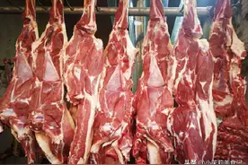 羊身上哪的肉最好吃，经过评比，这5个部位更受欢迎，你都吃过吗图片