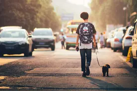 同一个APP为什么会有极速版？区别在哪里？有什么目的图片