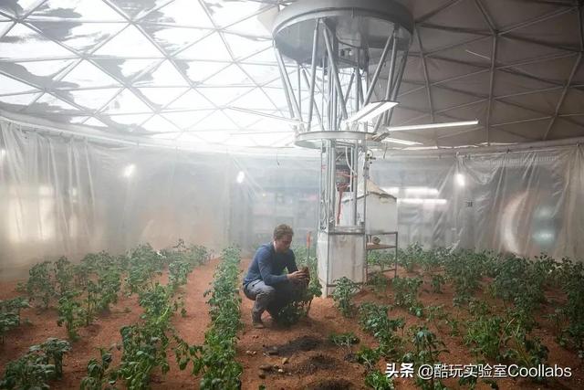 土豆到底能不能当饭吃？袁隆平生前是这么说的