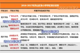 武汉学区系列：洪山区中小学教育格局概述（初中小学篇）图片