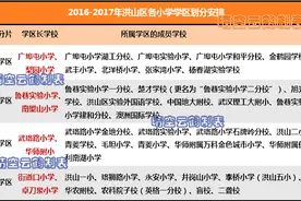 武汉学区系列：洪山区中小学教育格局概述（初中小学篇）图片