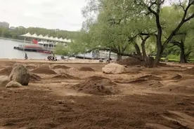 来晒太阳吧！长春南湖公园金沙滩换了新沙图片