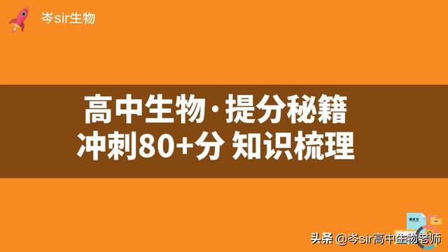 高中生物 系统梳理 遗传信息的转录过程