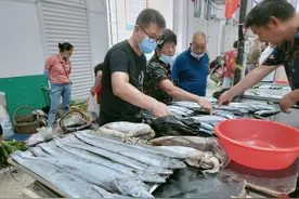 过年买带鱼，有人看鱼腮，有人看鱼眼，海鲜店老板：看这最重要图片