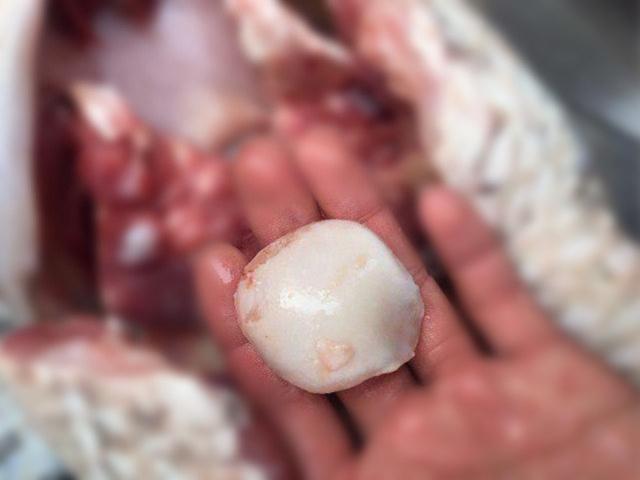 青鱼骨吊坠如何制作的,「美食分享」喝酒人的真爱,油榨鱼鳞 - 冷求网