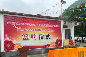广西乡村投资4.8亿元旅游项目落户樟木镇龙九屯图片