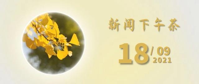 cf猎狐者h吧裙底（人民法治三分钟新闻下午茶）