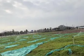 一次警告二次处罚三次叠加！仲恺向扬尘宣战了！图片