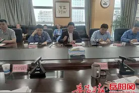 向伟雄主持召开岳阳地区炼化一体化项目选址调度会议图片