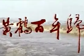 原来黄鹤曾经这样“归来”图片