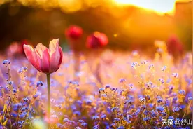 原来，无论你经历了什么，老天爷一直在“帮”着你图片