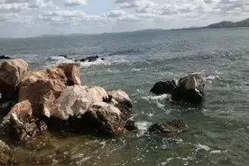 莱阳香岛挖花甲图片