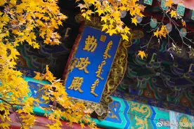 北京香山公园：漫山彩叶惹人醉图片