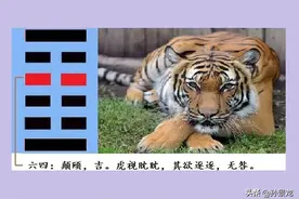 颠颐眈眈逐逐：保护好自己，施惠于他人，为天下众生谋幸福图片