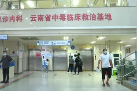 一家四口中毒入院，又是因为“致命鹅膏”图片
