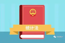 普法宣传 | 带你走进《统计法》图片