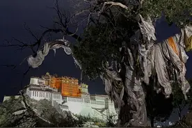 万万没想到图片
