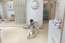 营商在上海 | 刘嘉雯：开宠物解压俱乐部，90后女孩“冲鸭”图片