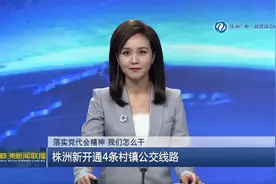 落实党代会精神 我们怎么干 株洲新开通4条村镇公交线路图片
