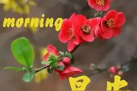 问候情人早安的短信图片