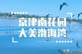 天地做笔 沧海为墨 | 沧州渤海新区邀你与自然共画人间盛景图片