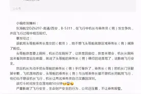机长与乘务长飞行中互殴？东海航空：涉及人员已停止工作图片