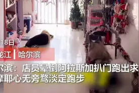哈尔滨一宠物店店员突发疾病晕倒，聪明狗狗扒门而出、寻人求救图片