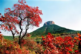 “游”在山亭 |  生态山亭·康养之城吃住行游购娱大全宝典图片