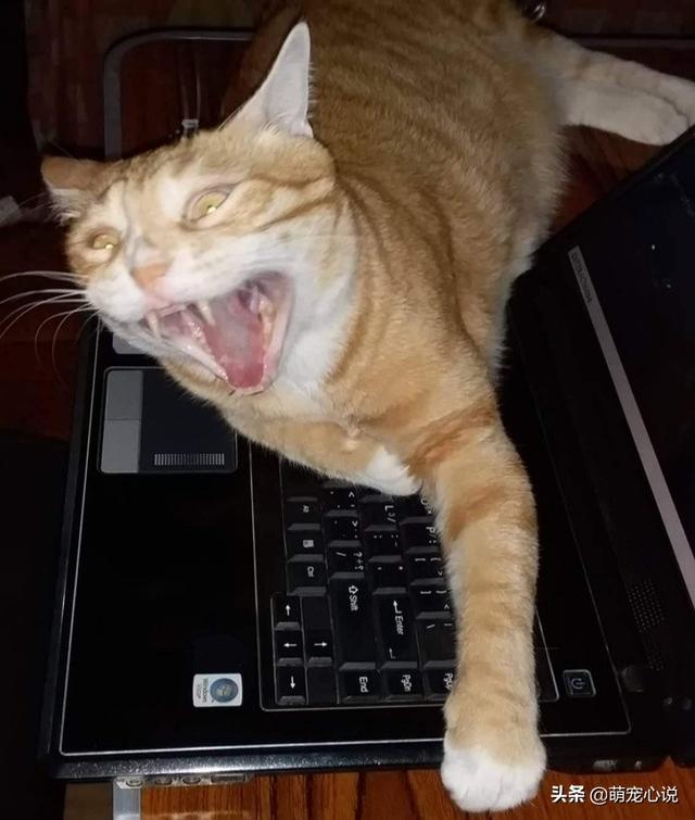 èɵ𣿹èԺעϲ