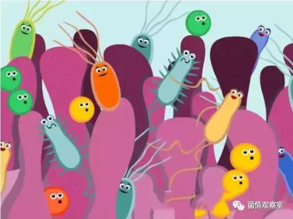 世界自闭症日：从肠道出发，治疗自闭症