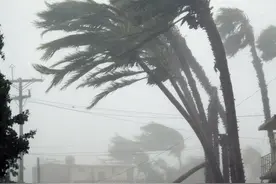 唯我独尊傲穹苍图片