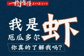 我是厄瓜多尔虾，你真的了解我吗？| 一图看懂图片