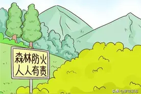 罗定：从实、从严、从细贯彻落实“包山头、守路口、盯重点、签责任、打早小”森林防灭火要求图片
