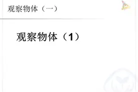 人教版二年级上册数学第五单元《观察物体》图片