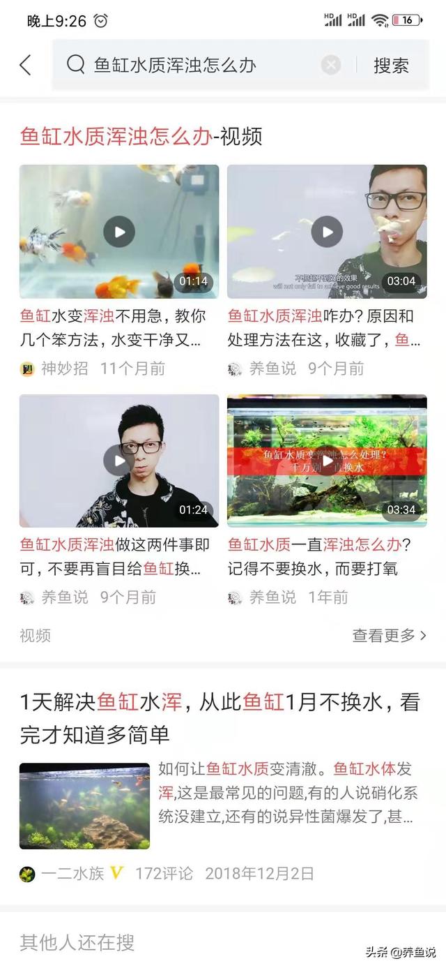 鱼缸里缺氧也能养的观赏鱼，鱼缸里缺氧有3种情况，2种处理方法