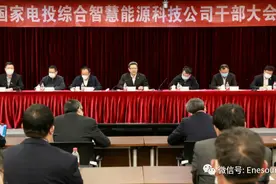 又一家！国家电投正式进军综合能源服务领域图片