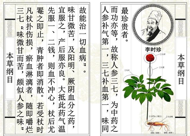 没病也可以吃点三七粉?三七粉究竟是治啥病的,中药有哪些特点?