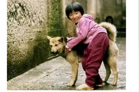 养“土狗”真的很丢人吗？这几点让我重新爱上它图片