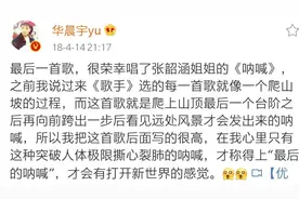 歌手2020：华晨宇的《寒鸦少年》我听了，说说我的看法吧图片