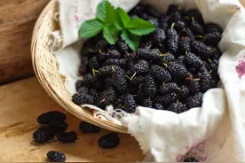 四月桑葚胜人参，桑葚不要只用水洗，教你一招，洗得干净吃着放心图片