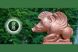 哈萨克斯坦养猪业，需要中国 | 地球知识局图片