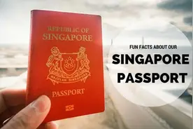 移民新加坡，了解一下新加坡的教育和医疗图片