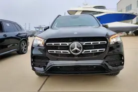 高颜值外观是惊艳的开始 奔驰GLS580配置多选图片