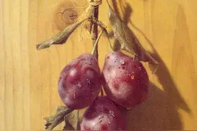 日本当代著名画家森本草介笔下的静物画图片