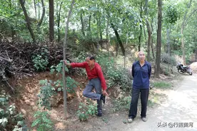 56岁大哥26年前花钱娶个外地媳妇，女儿刚出生媳妇就跑了，啥情况图片