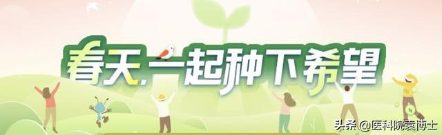 扁平苔癣样角化病基底膜