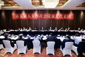 渝北代表团审议市人大常委会和法检“两院”工作报告图片