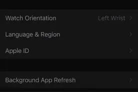 苹果手表iWatch 升级Beta5 安全步骤图片