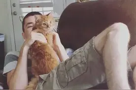 因为吃醋，我家田园猫扔了加菲猫2次图片