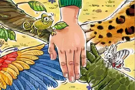 注意！这些动物不能养！图片